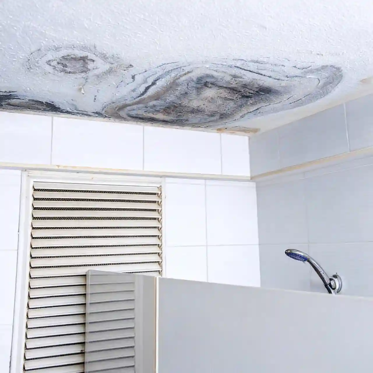 Bathroom ceiling with visible mold growth and water damage in a Hillsboro Beach, FL property requiring professional mold remediation services.